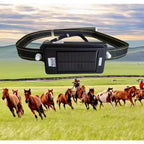 4G Solar GPS Collar Tracker for Livestock & Cattle with 20,000mAh Battery - IP67 Waterproof