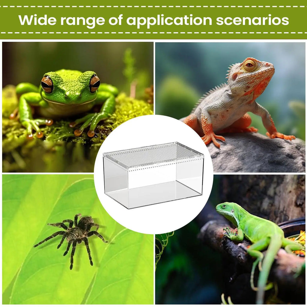 Transparent Acrylic Terrarium — Ventilated Enclosure for Spiders, Geckos & More