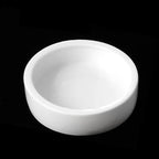 Ceramic Anti-Escape Feeder Bowl — Round & Fan-Shaped Dish for Lizards & Bearded Dragons