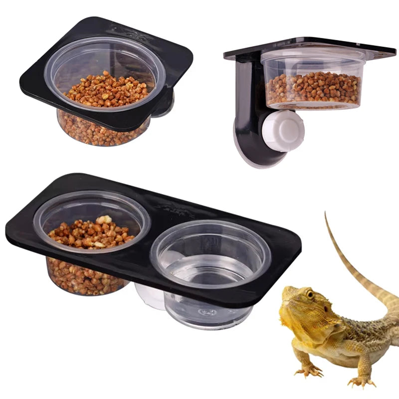 Suction-Cup Double Feeding Bowl — Space-Saving Dish for Geckos & Chameleons
