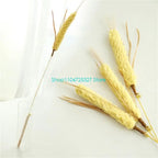 Bite-Resistant Straw Cat Chew Toy with Colorful Quills — Modifiable Interactive Cat Toy