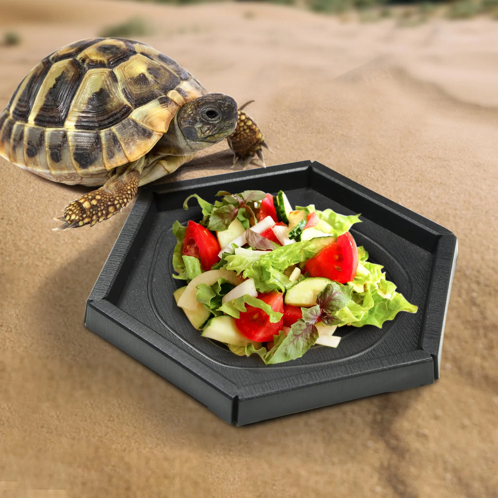 Black Plastic Reptile Feeding & Bath Basin — Round or Hexagon