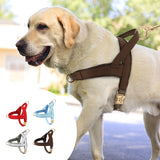 Personalized Engraved Dog Harness