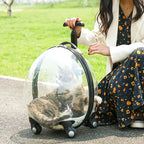 Transparent Large Capacity Handheld Pet Carrier & Portable Travel Cart for Cats & Dogs