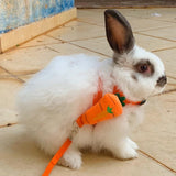 Guinea Pig & Rabbit Harness Set — Breakaway Walking Leash