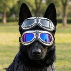 Oversized Dog Eye Visor Goggles (UV-Blocking, Wind Proof, Harley Style)