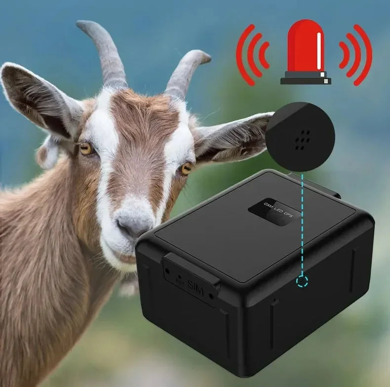 4G GPS Livestock Tracker for Sheep, Cattle & Horses with 20,000mAh Battery