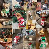 Christmas Winter Sweater for Dogs (Xmas Outfit Coat)