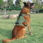 Escape-Proof Dog Harness N5KC (Heavy Duty, Training & Hiking, Adjustable)