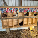 Coconut Fiber Nesting Box Liners — Fresh, Clean Egg-Laying Pads for Hens