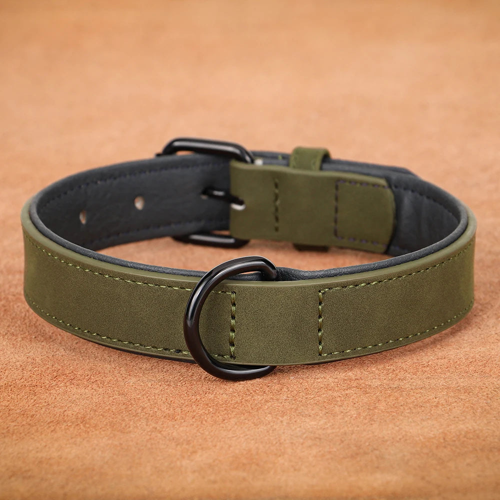 Padded Leather Dog Collar