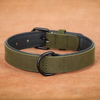 Padded Leather Dog Collar