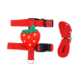 Guinea Pig & Rabbit Harness Set — Breakaway Walking Leash