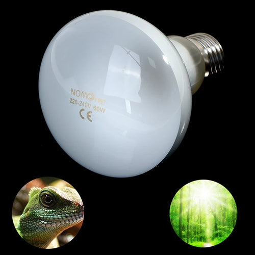 UVA Daylight Heating Bulb for Reptiles — Waterproof, 25W-100W