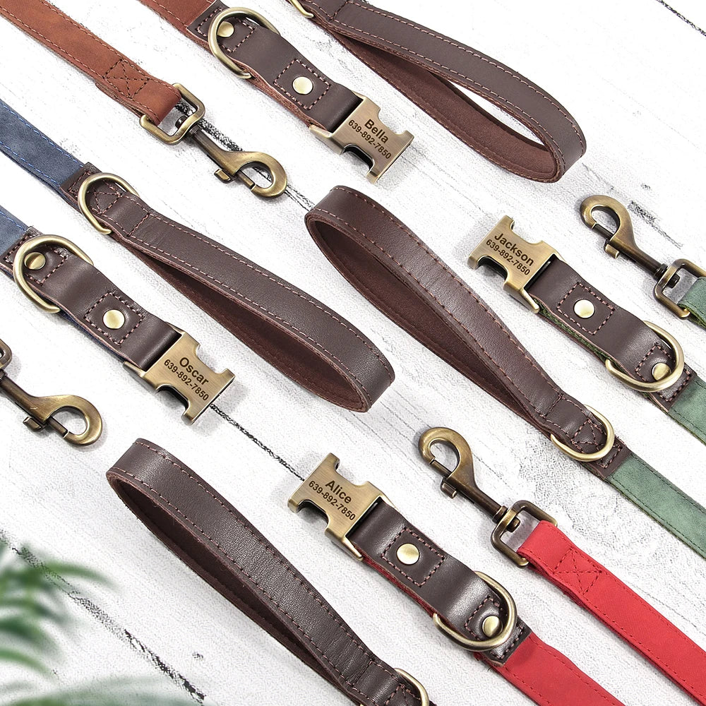 Personalized Dog Collar & Leash Set