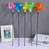 Gradient Feather Cat Teaser Wand — Colorful Interactive Rod Stick (1–50 Pack)