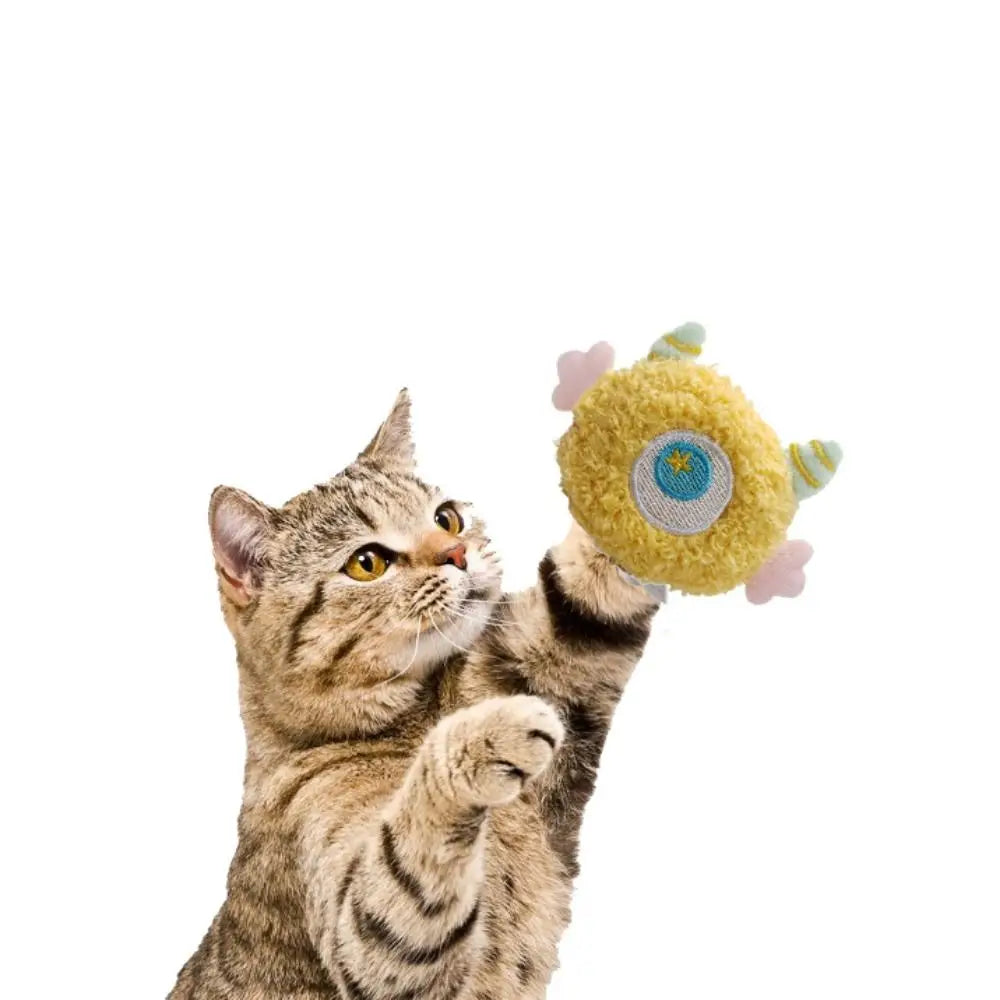 Catnip-Filled Plush Chew Toy — Bite-Resistant Teeth Grinder