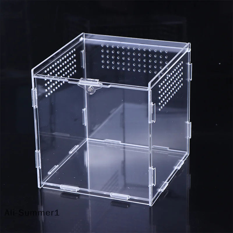 Acrylic Reptile Breeding Box — Ventilated Enclosure for Spiders & Small Reptiles