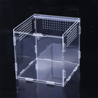 Acrylic Reptile Breeding Box — Ventilated Enclosure for Spiders & Small Reptiles