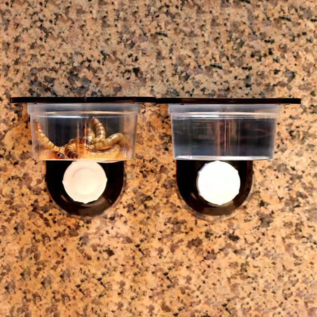 Crested Gecko Feeding Ledge — Space-Saving Suction Cup Food & Water Dish