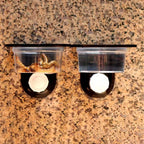 Crested Gecko Feeding Ledge — Space-Saving Suction Cup Food & Water Dish
