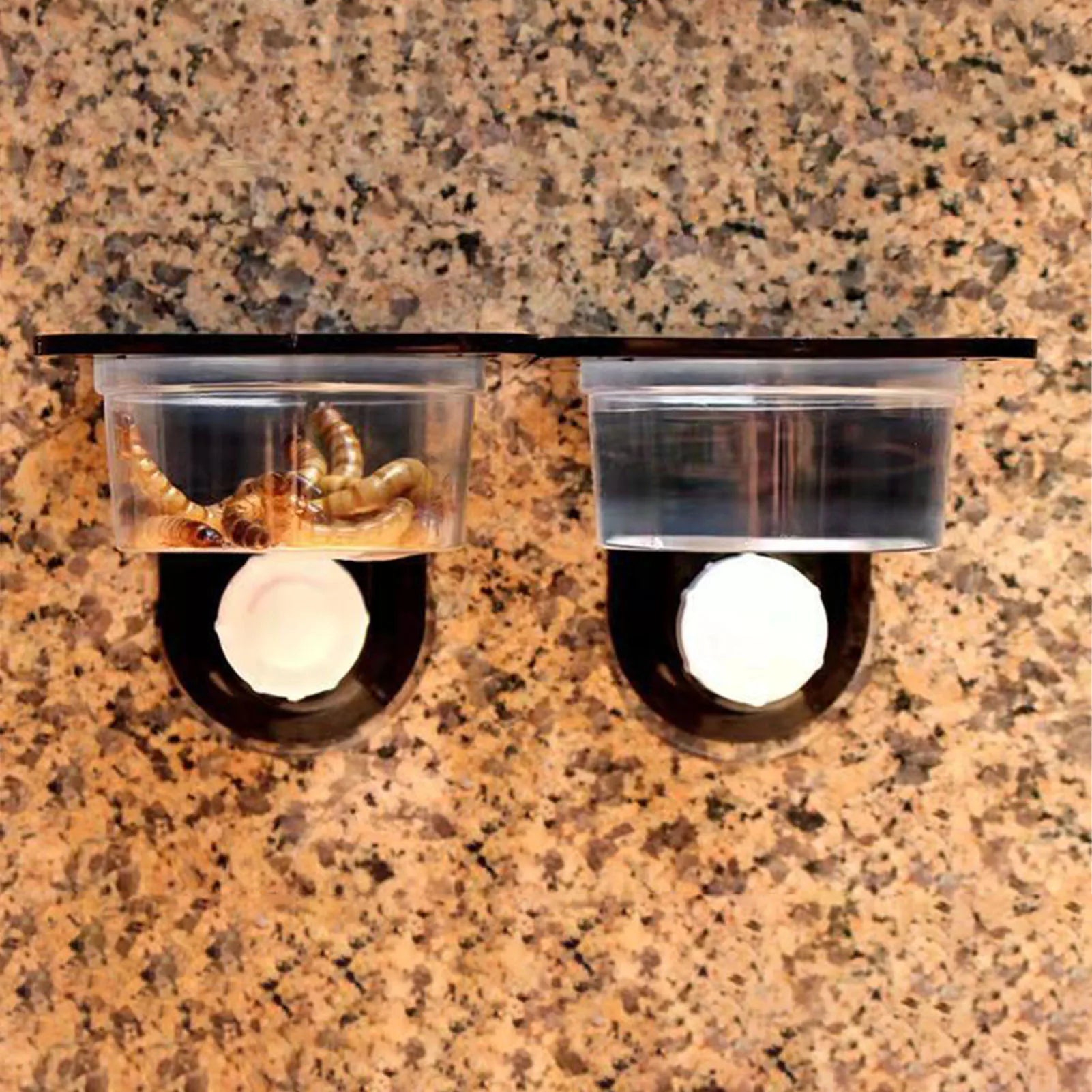 Crested Gecko Feeding Ledge — Space-Saving Suction Cup Food & Water Dish