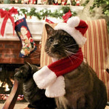 Christmas Pet Costume Set (Santa Hat & Scarf, Adjustable)