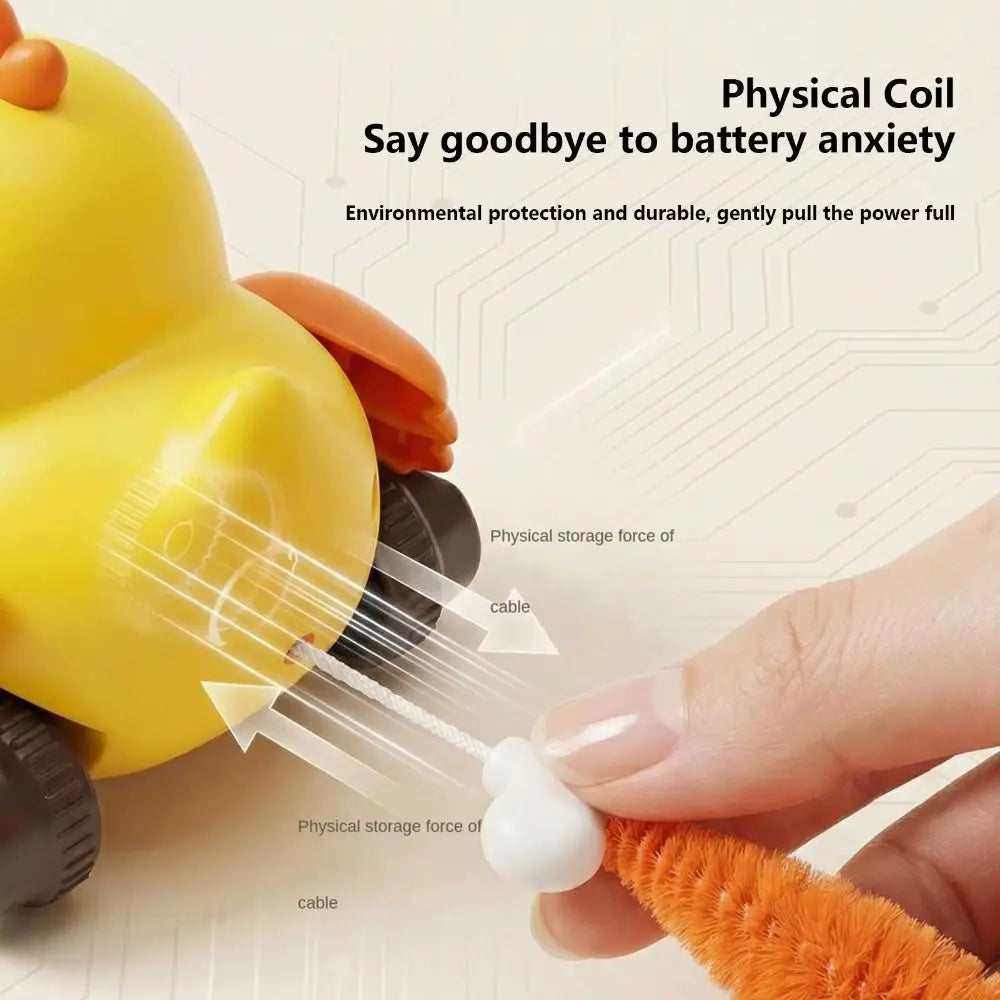 Wind-Up Bird Cat Teaser Toy — Chirping, Bite-Resistant, No Batteries