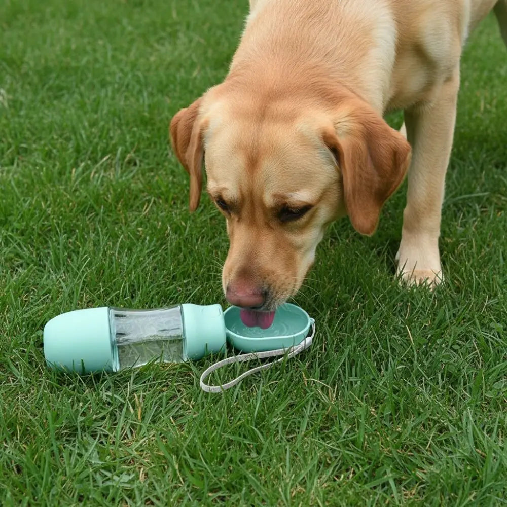 Leak-Proof Dog Water Bottle with Filter (Detachable Bowl, Outdoor, Sealed)