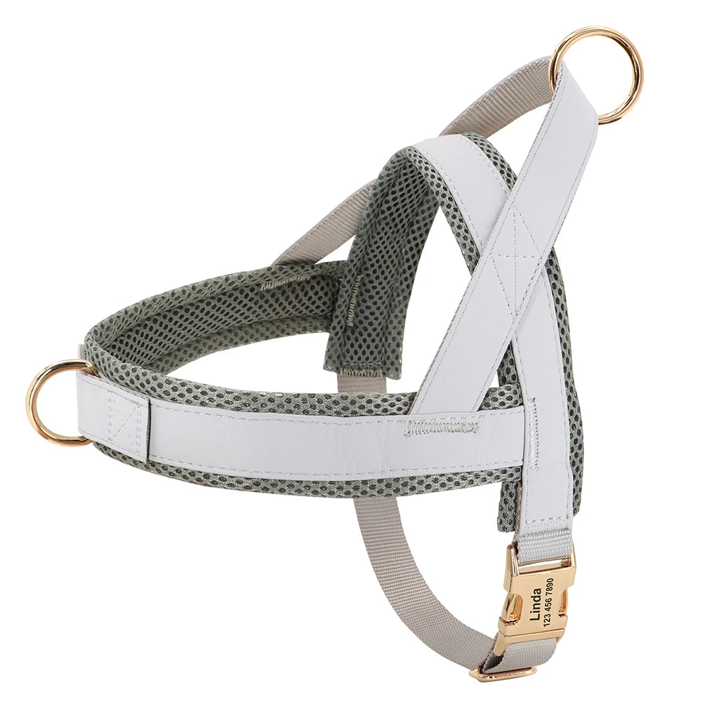 Personalized Engraved Dog Harness