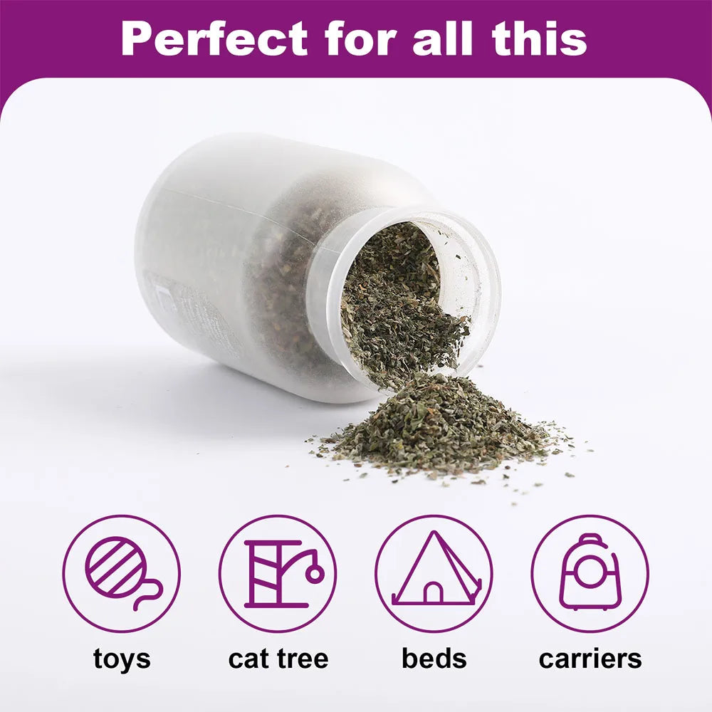 Organic Catnip Blend in Glass Jar (100ml)