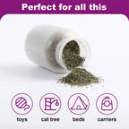 Organic Catnip Blend in Glass Jar (100ml)