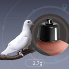 Mini Waterproof GPS Tracker for Birds & Pets - Real-Time with Geo-Fencing