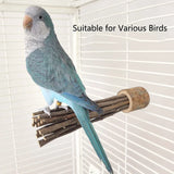 Natural Apple Wood Perch — Chew-Safe Branch Stand for Birds & Small Pets