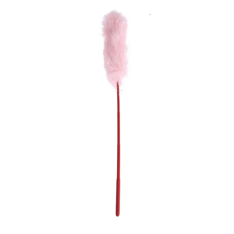 Feather & Bell Collar Teaser Sticks — Self-Play Cat Toy, 10-Pack