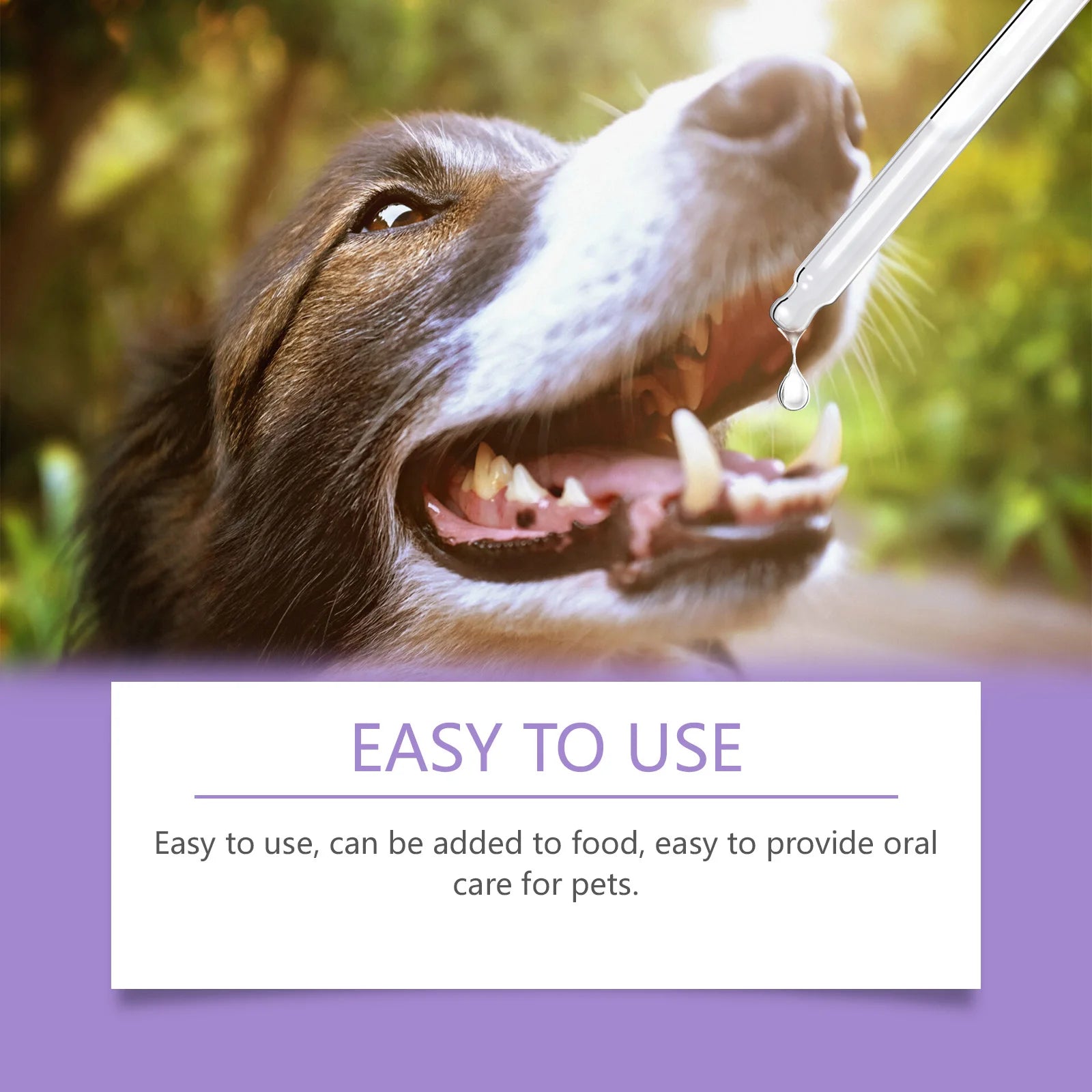 Pet Oral Cleanse Spray — No-Brush Teeth & Breath Formula, 50ml