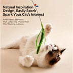 Bristle Grass Cat Wand Chew Toy