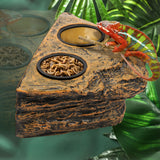Magnetic Reptile Feeder Ledge Set — Elevated Dish with 4 Bowls