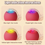 Smart Auto-Rolling Ball Cat Toy with Mouse Tail — Rechargeable Electric Training & Chase Toy