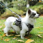 Portable Dog Walking Bag (Waste Bag Dispenser, Leash Holder, Storage Pouch)