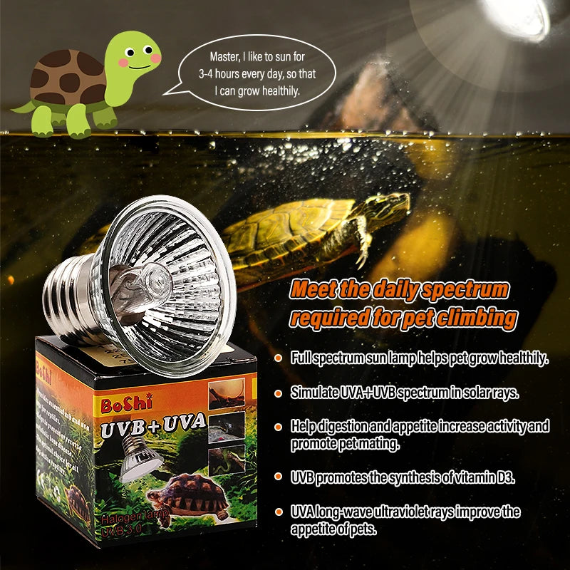 UVA/UVB 3.0 Basking Kit — Rotating Clip-On Holder, Lamp & Hygrothermometer