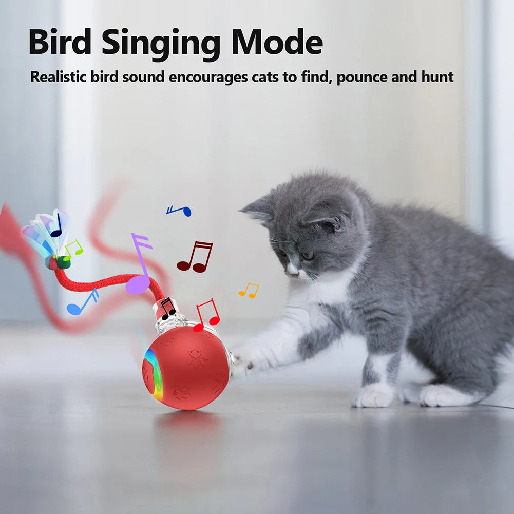 Motion-Activated Self-Rotating Cat Ball — Fast-Rolling Interactive Exerciser