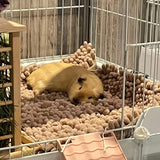 Plush Cushion Sleeping Mat — Portable Warm Bed for Hamsters & Guinea Pigs