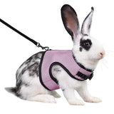 Vest-Style Carrier Bag with Harness & Leash Set for Rabbits