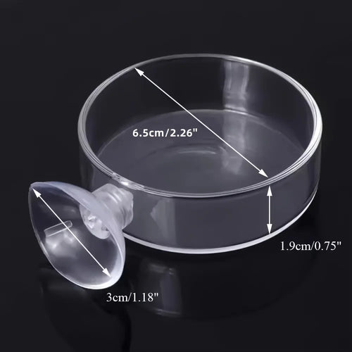 Acrylic Aquarium Shrimp Feeding Bowl & Fish Feeder Dish