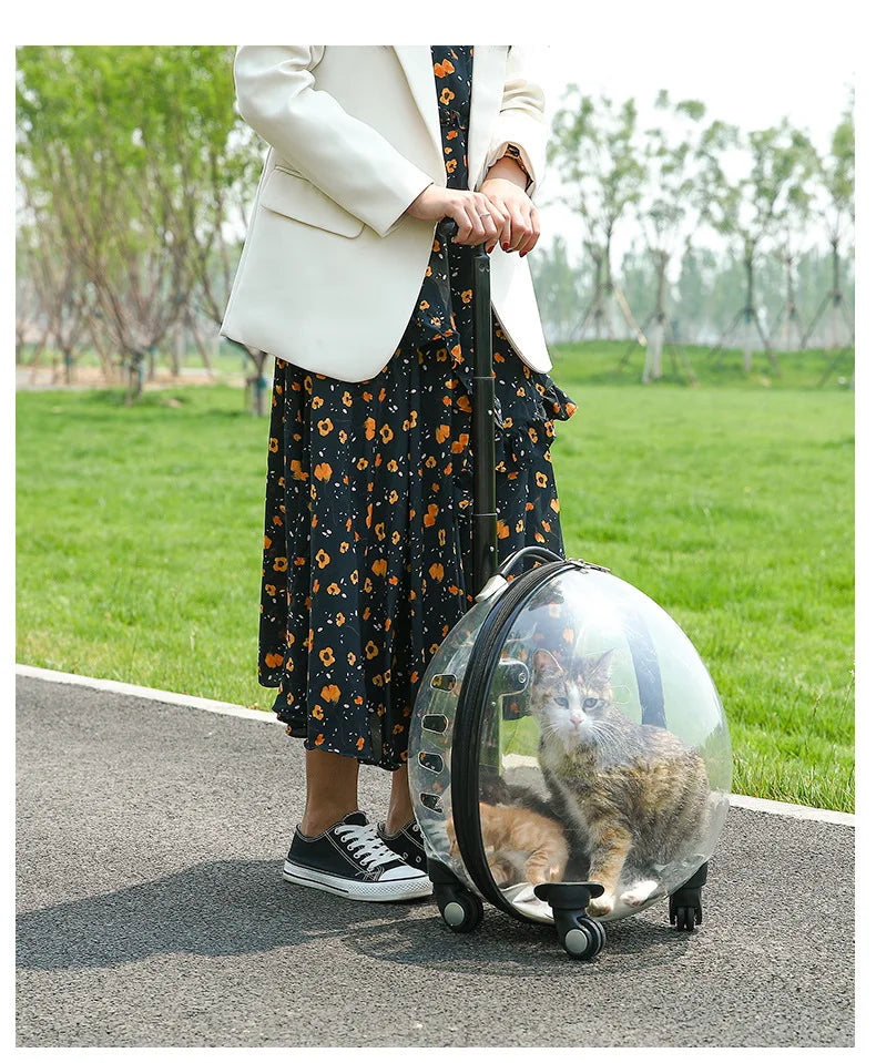 Transparent Large Capacity Handheld Pet Carrier & Portable Travel Cart for Cats & Dogs