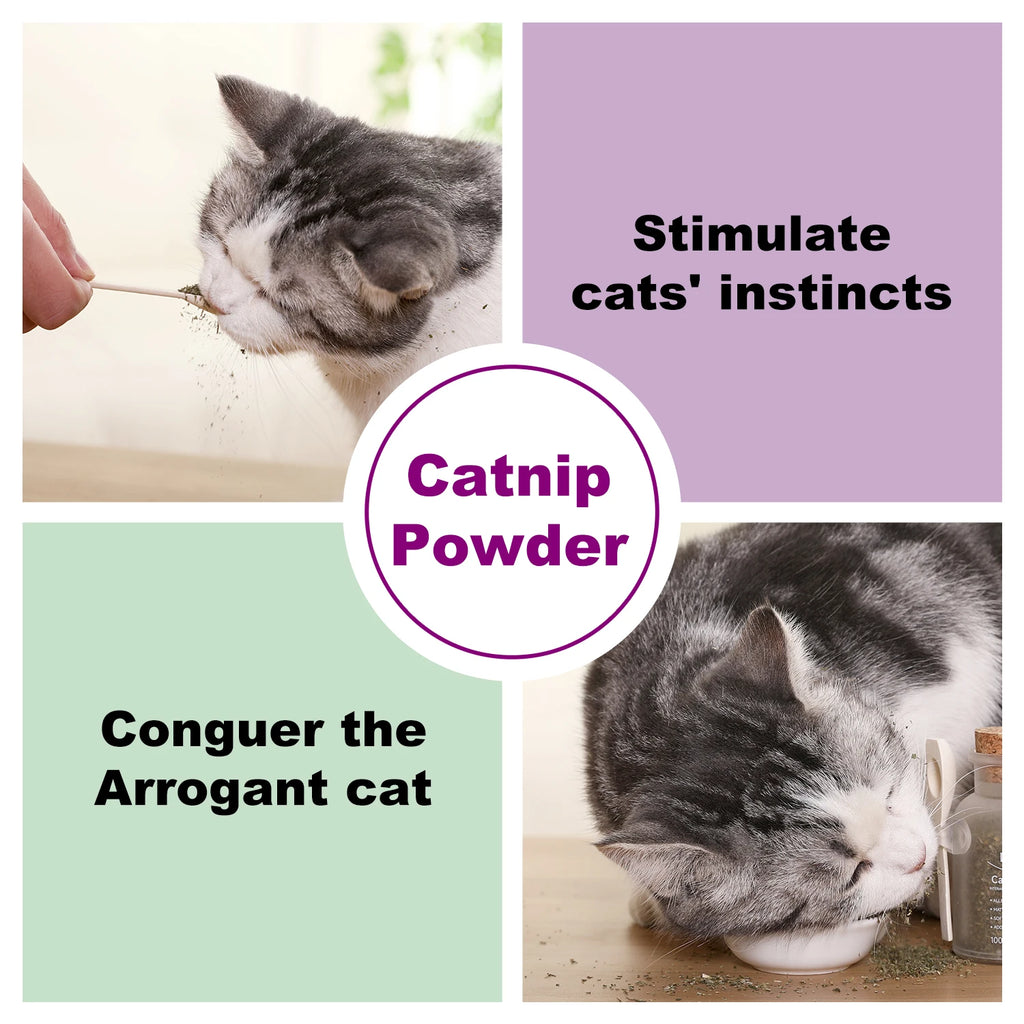 Silvervine Powder for Cats