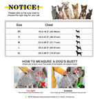Personalized Engraved Dog Harness