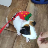 Guinea Pig & Rabbit Harness Set — Breakaway Walking Leash