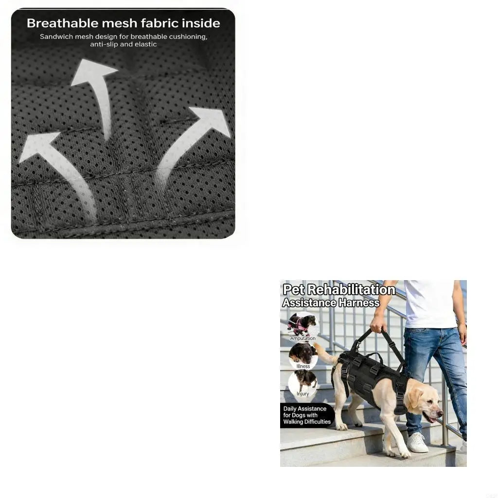 Full Support Dog Wheelchair Harness (Waterproof, D-Ring Attachments, Adjustable)